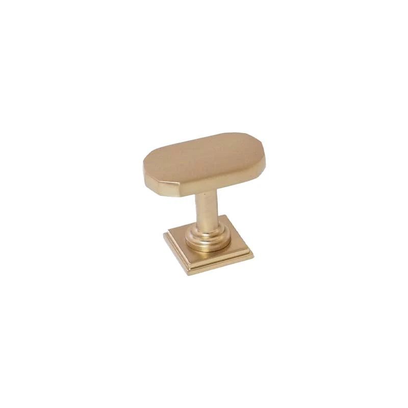 Healey T-Bar Knob Brushed Brass